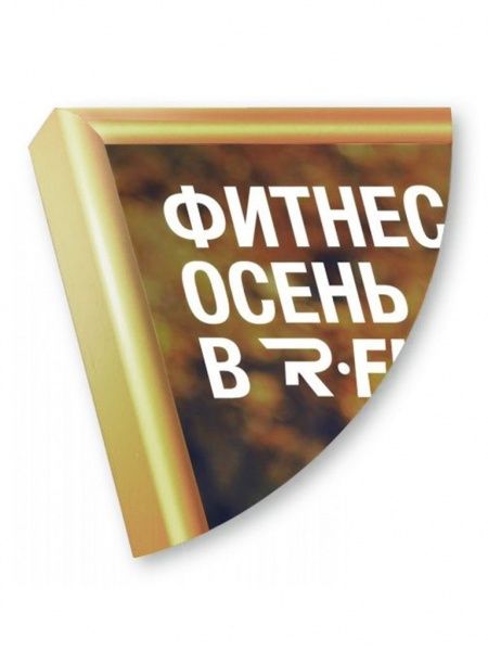 Рамка Нельсон 02, А4,  золото глянец анодир. в Волгограде - картинка, изображение, фото